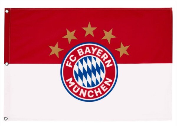 FC Bayern Hissflagge,Originalware Flagge 120 x 180 cm Logo 5 Sterne mit 3 Ösen